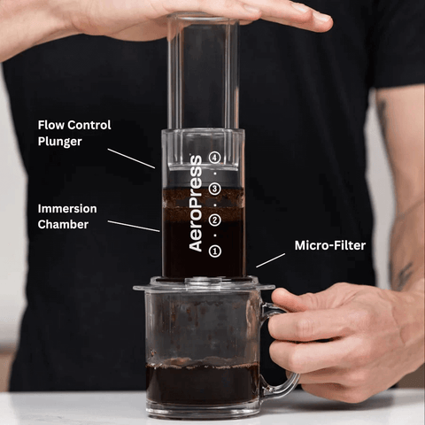 AeroPress Coffee Maker - Clear & Colors - Everyday People Coffee & Tea