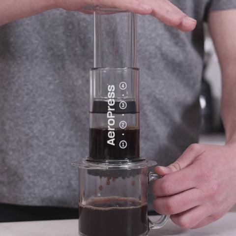 AeroPress Coffee Maker - Clear & Colors - Everyday People Coffee & Tea